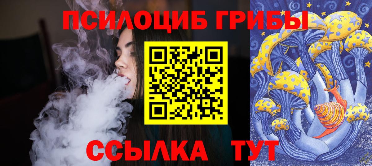 Псилоцибиновые грибы Cubensis Сыктывкар