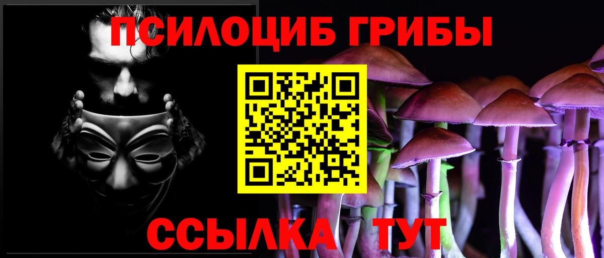 Сыктывкар  Псилоцибиновые грибы Psilocybe  закладка  Вход с VPN 